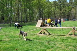 dog park in virginia beach