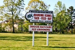 boarding and grooming in virginia beach