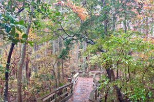 first landing state park virginia beach